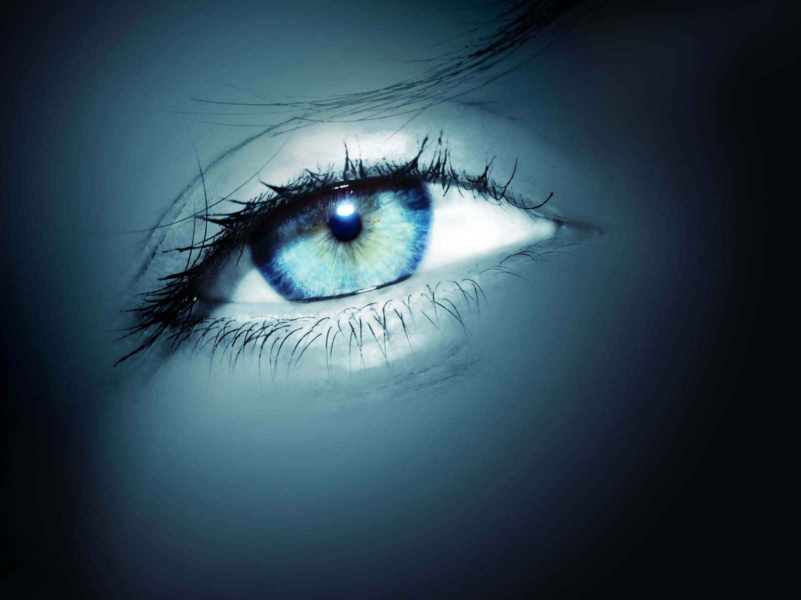 oeil